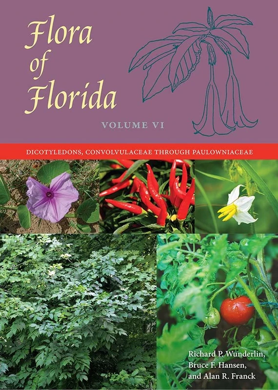 Flora of Florida, Volume VI: Dicotyledons, Convolvulaceae Through Paulowniaceae: 6