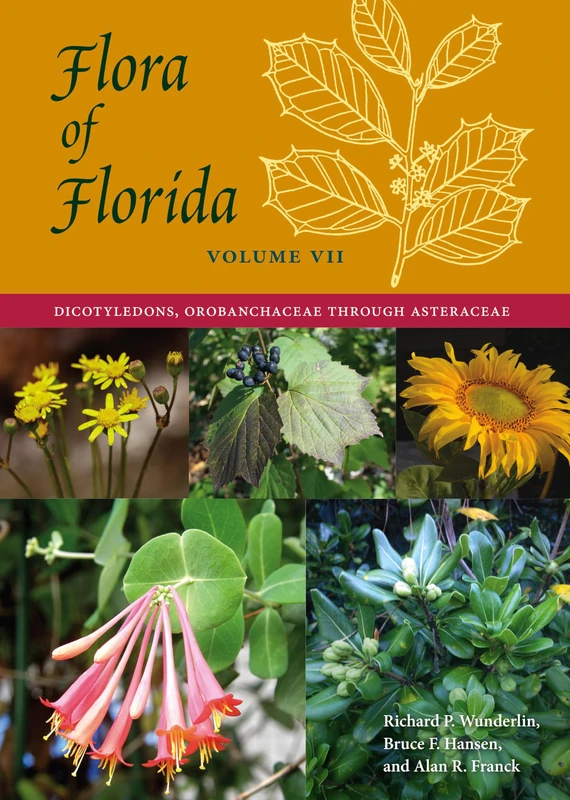 Flora of Florida, Volume VII: Dicotyledons, Orobanchaceae Through Asteraceae: 7 (Florida in Focus)