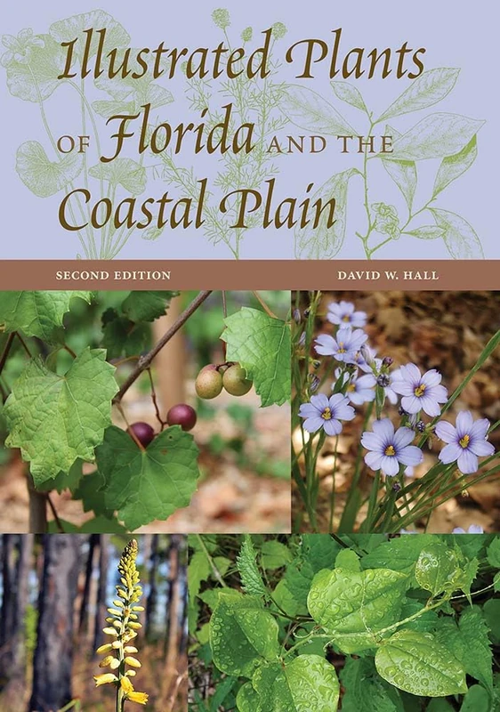 Illustrated Plants of Florida and the Coastal Plain - Image 1