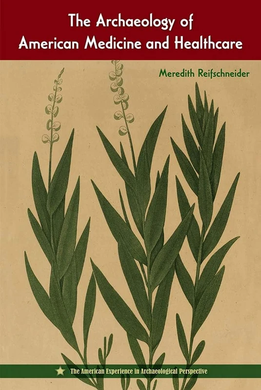 The Archaeology of American Medicine and Healthcare (The American Experience in Archaeological Perspective)