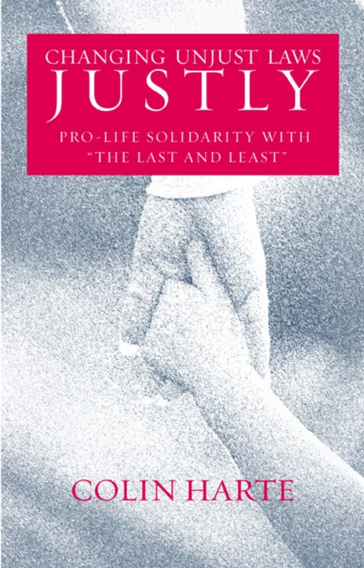 Changing Unjust Laws Justly: Pro-life Solidarity with the Last and Least - Image 1