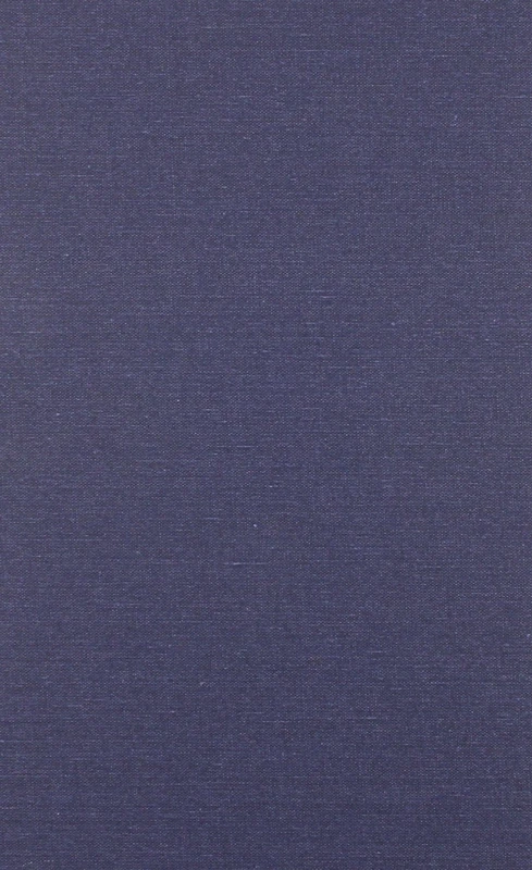 The Promoter of Justice (CUA Studies in Canon Law)