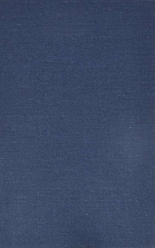 Judicial Advocates and Procurators (CUA Studies in Canon Law)