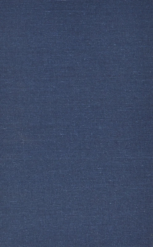 Matrimonial Procedure in Ordinary Court of Second Instance (CUA Studies in Canon Law)