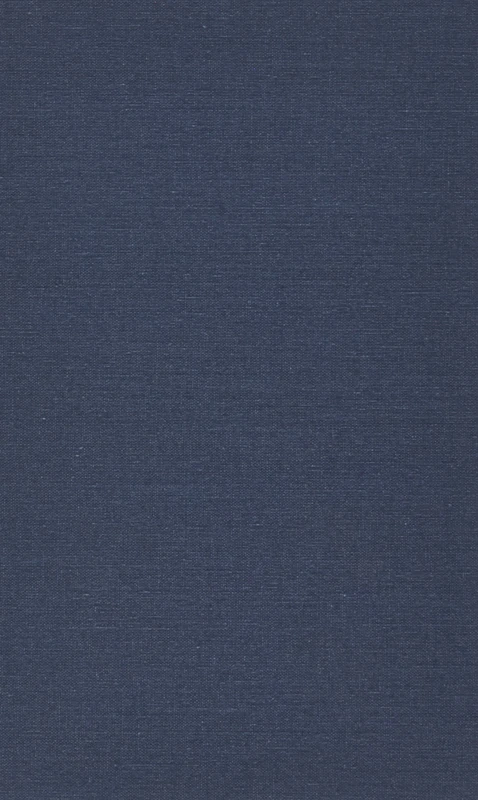 The Rights and Obligations of Metropolitans (CUA Studies in Canon Law)