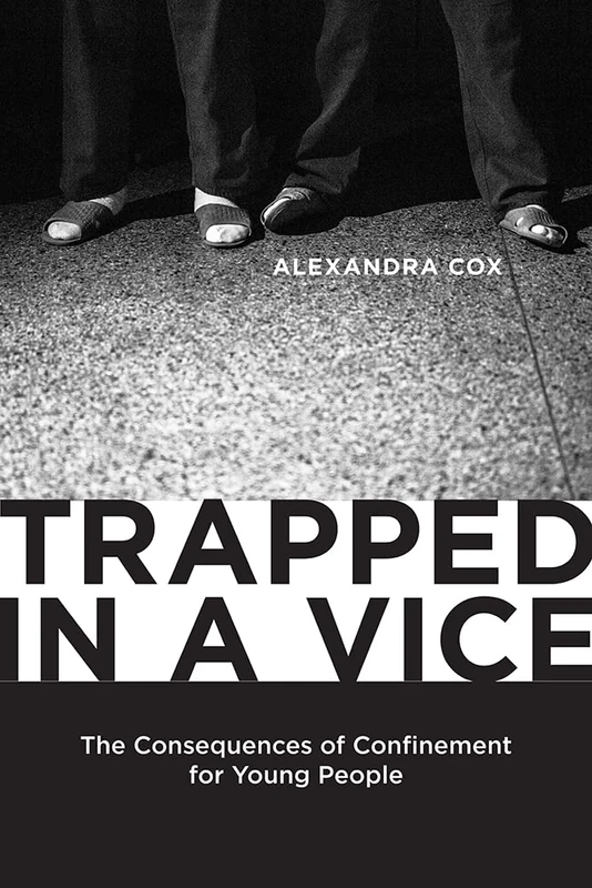 Trapped in a Vice: The Consequences of Confinement for Young People (Critical Issues in Crime and Society)