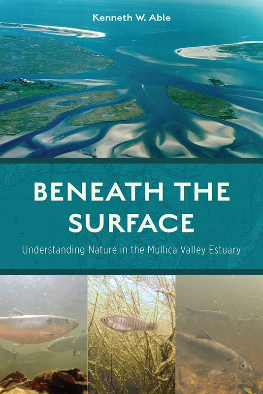 Beneath the Surface: Understanding Nature in the Mullica Valley Estuary - Image 1