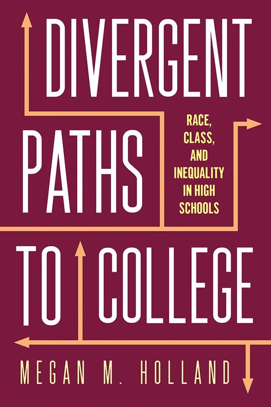 Divergent Paths to College: Race, Class, and Inequality in High Schools (Critical Issues in American Education)