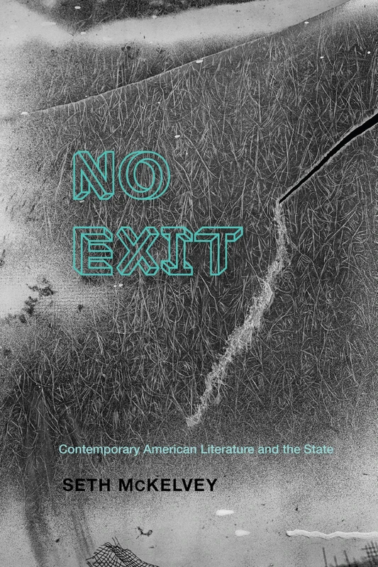 No Exit: Contemporary American Literature and the State (Cultural Frames, Framing Culture)