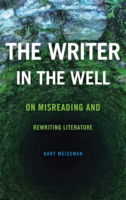 The Writer in the Well: On Misreading and Rewriting Literature (Theory and Interpretation of Narrative)