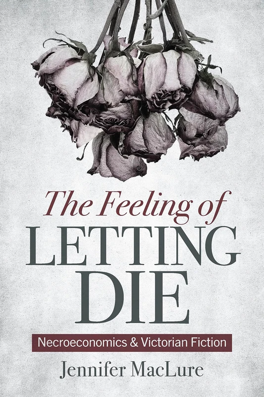 The Feeling of Letting Die: Necroeconomics and Victorian Fiction - Image 1