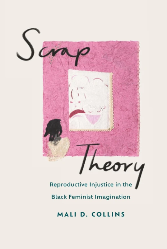 Scrap Theory: Reproductive Injustice in the Black Feminist Imagination