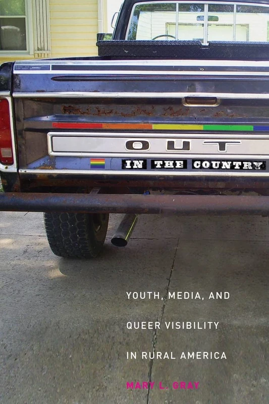 Out in the Country: Youth, Media, and Queer Visibility in Rural America: 2 (Intersections)