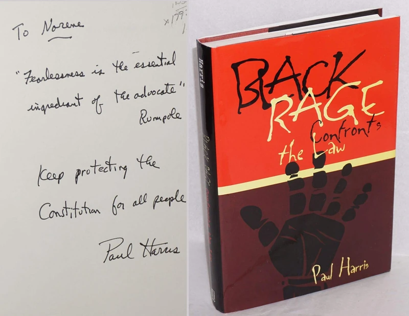 Black Rage Confronts the Law: 19 (Critical America)