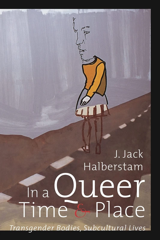 In a Queer Time and Place: Transgender Bodies, Subcultural Lives: 3 (Sexual Cultures)