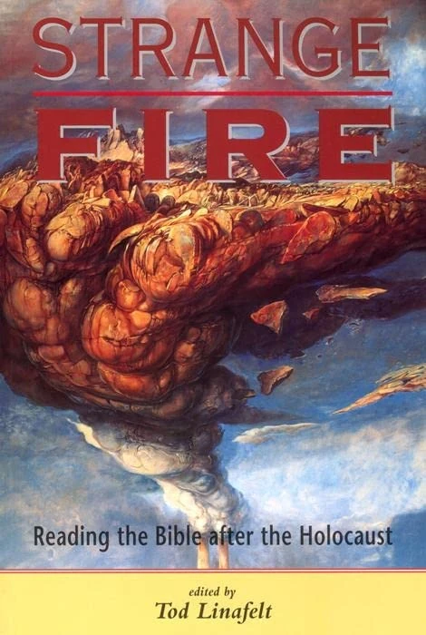 Strange Fire: Reading the Bible after the Holocaust - Image 1