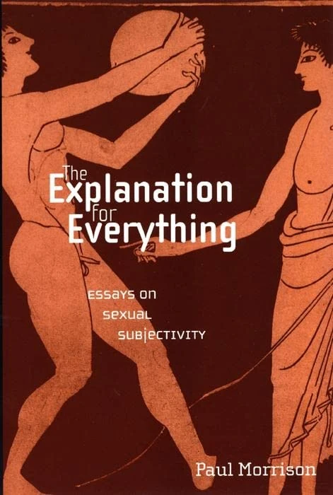 The Explanation for Everything: Essays on Sexual Subjectivity: 31 (Sexual Cultures)