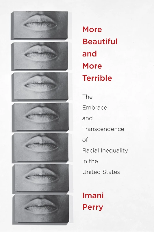 More Beautiful and More Terrible: The Embrace and Transcendence of Racial Inequality in the United States - Image 1