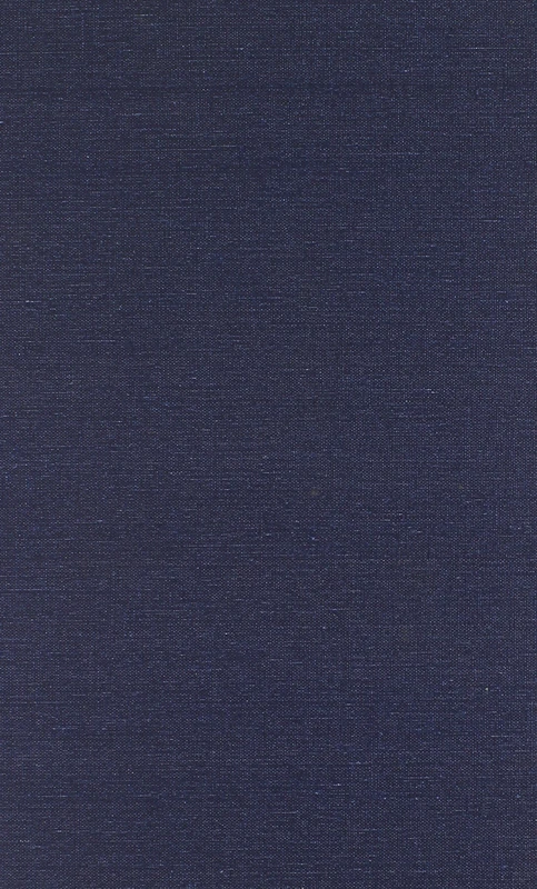 Politics After Hitler: The Western Allies and the German Party System