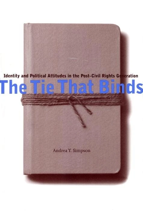 The Tie That Binds: Identity and Political Attitudes in the Post-Civil Rights Generation - Image 1