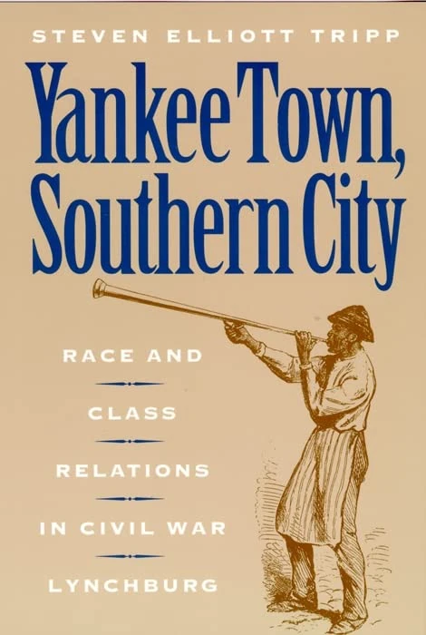 Yankee Town, Southern City: Race and Class Relations in Civil War Lynchburg: 14 (The American Social Experience)