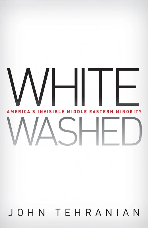 Whitewashed: America's Invisible Middle Eastern Minority: 46 (Critical America)