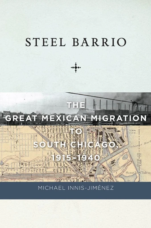 Steel Barrio: The Great Mexican Migration to South Chicago, 1915-1940: 10 (Culture, Labor, History)