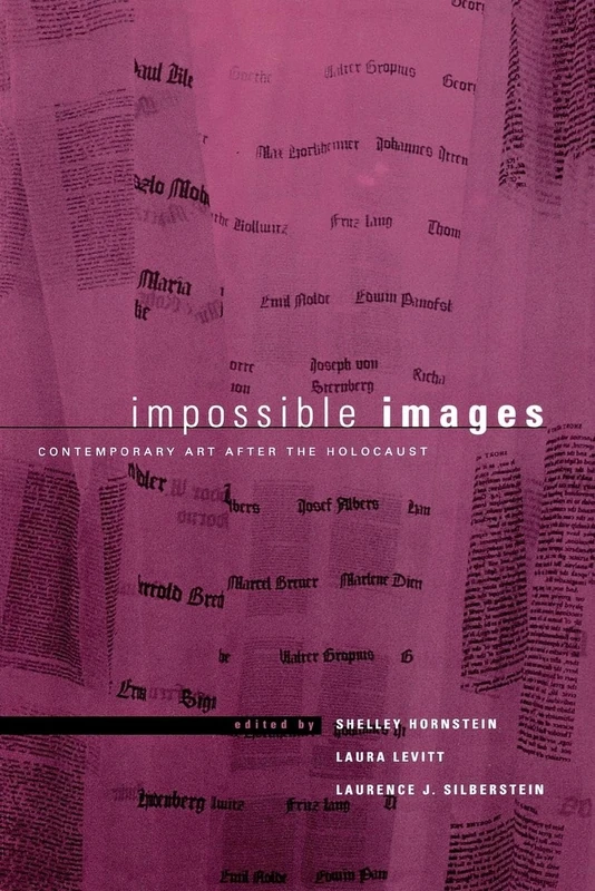 Impossible Images: Contemporary Art After the Holocaust: 4 (New Perspectives on Jewish Studies)