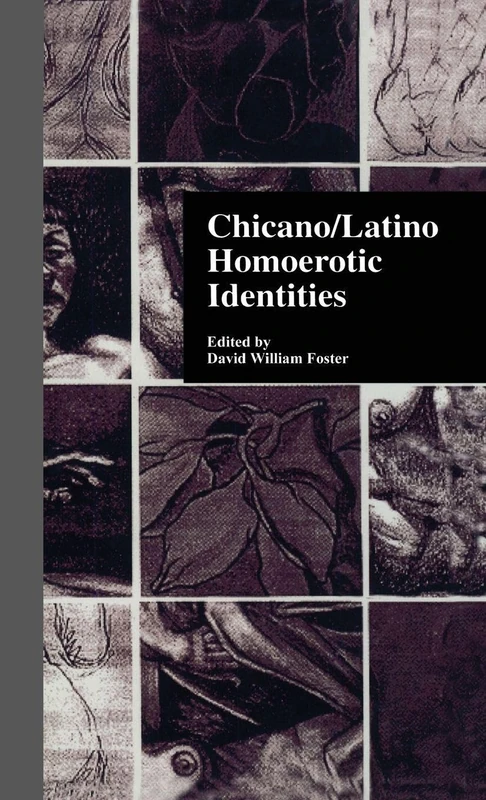 Chicano/Latino Homoerotic Identities: 16 (Latin American Studies)