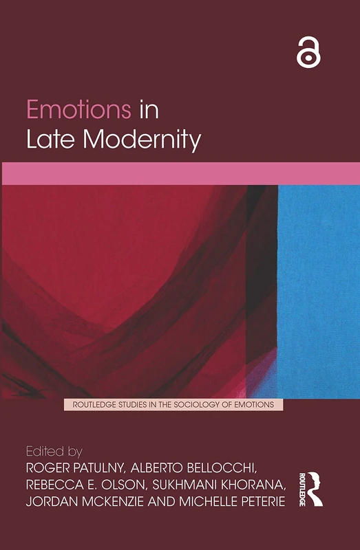 Routledge Emotions in Late Modernity Sociology Book
