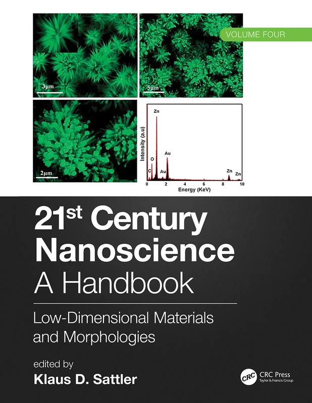 CRC Press 21st Century Nanoscience Handbook Volume 4