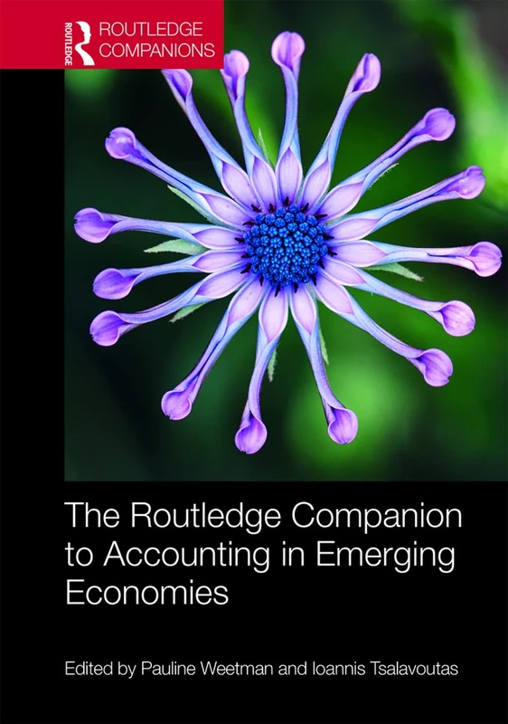 The Routledge Companion to Accounting in Emerging Economies (Routledge Companions in Business, Management and Marketing)