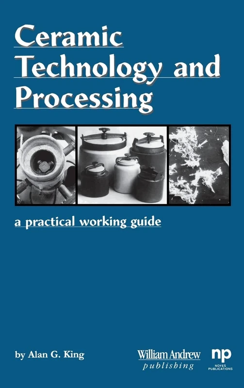 Ceramic Technology and Processing: A Practical Working Guide (Materials Science and Process Technology Series)