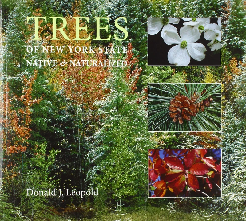 Trees of New York State: Native and Naturalized (New York State Series)