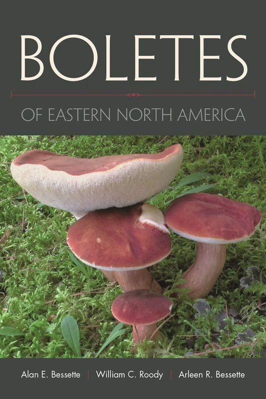 Boletes of Eastern North America: `