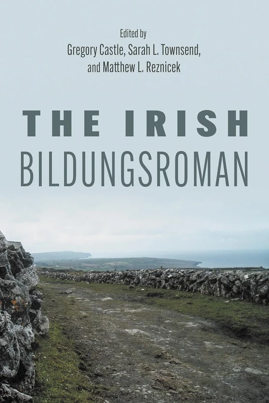 The Irish Bildungsroman (Irish Studies)