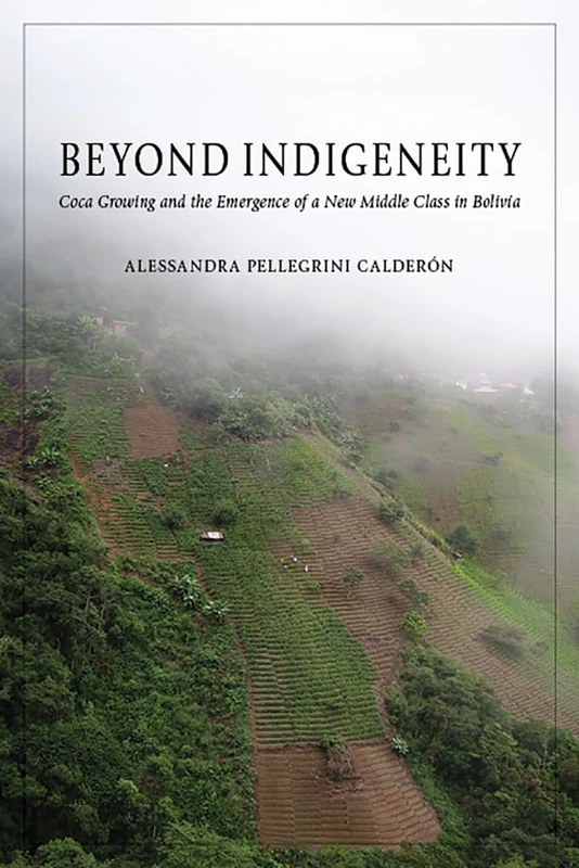 Beyond Indigeneity: Growing and the Emergence of a New Middle Class in Bolivia