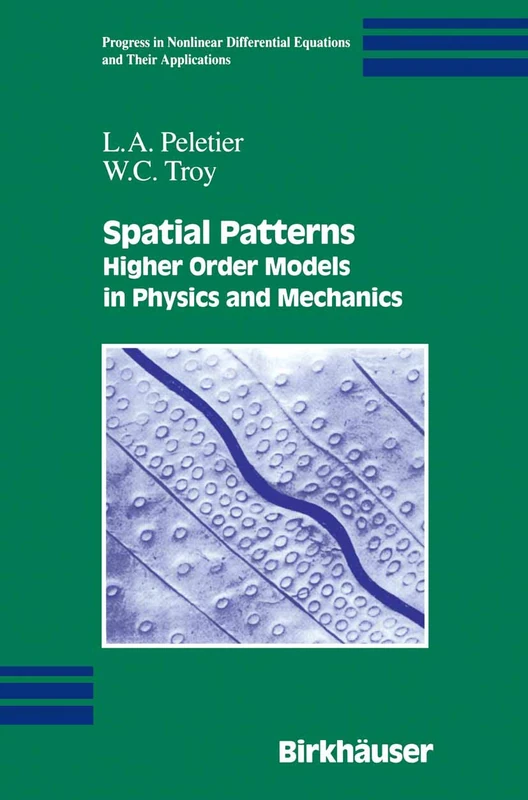 Spatial Patterns: Higher Order Models in Physics and Mechanics: 45 (Progress in Nonlinear Differential Equations and Their Applications, 45)