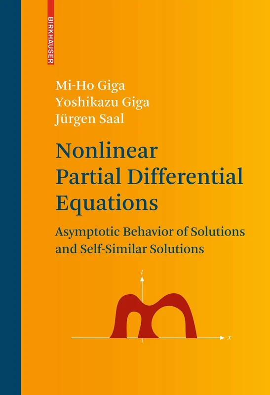 Nonlinear Partial Differential Equations: Asymptotic Behavior of Solutions and Self-Similar Solutions: 79 (Progress in Nonlinear Differential Equations and Their Applications, 79)