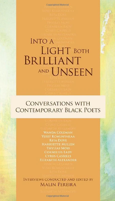 Into a Light Both Brilliant and Unseen: Conversations with Contemporary Black Poets (Sarah Mills Hodge Fund Publication)