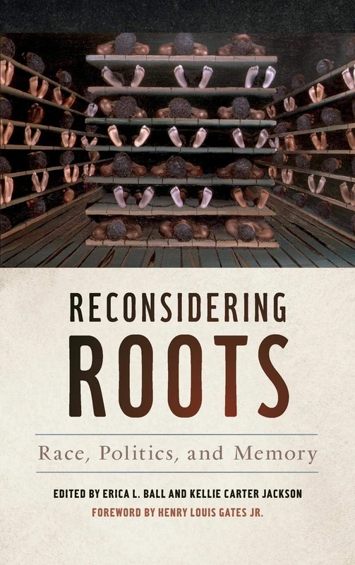 Reconsidering Roots: Race, Politics, and Memory (Since 1970: Histories of Contemporary America Series)
