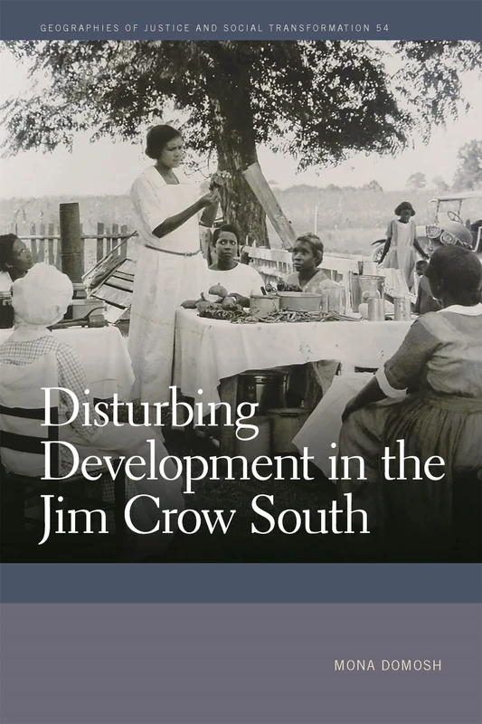 Disturbing Development in the Jim Crow South (Geographies of Justice and Social Transformation)