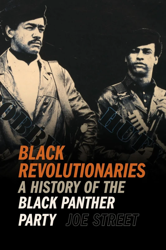 Black Revolutionaries: A History of the Black Panther Party (Since 1970: Histories of Contemporary America)