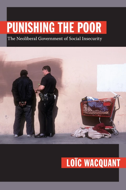 Punishing the Poor: The Neoliberal Government of Social Insecurity (Politics, History, and Culture)