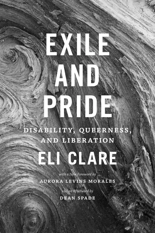 Exile and Pride: Disability, Queerness, and Liberation - Image 1