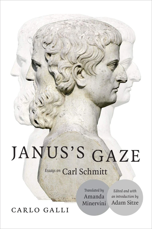 Janus's Gaze: Essays on Carl Schmitt - Image 1