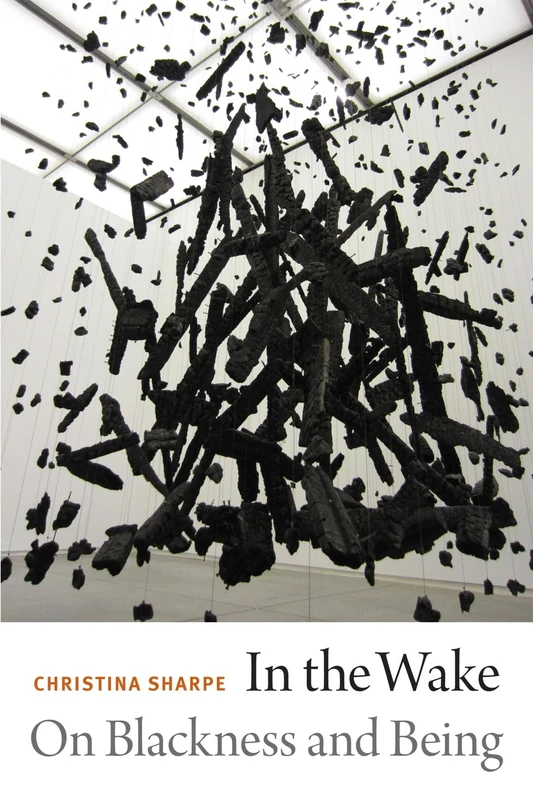 In the Wake: On Blackness and Being - Image 1
