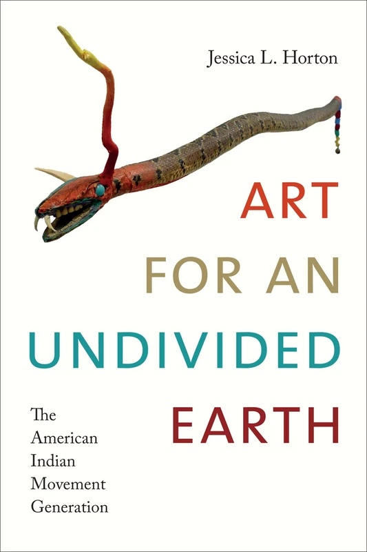Art for an Undivided Earth: The American Indian Movement Generation (Art History Publication Initiative)