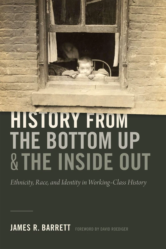 History from the Bottom Up and the Inside Out: Ethnicity, Race, and Identity in Working-Class History