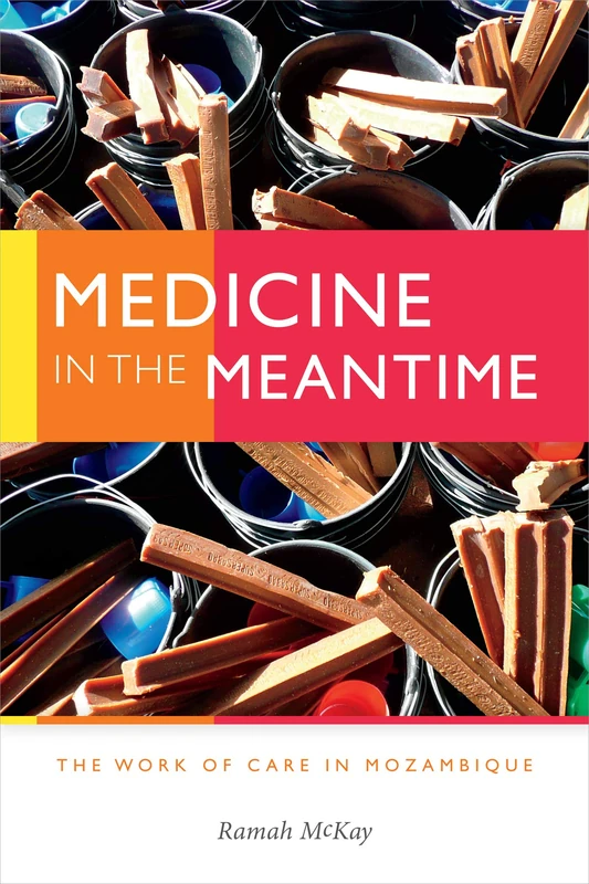 Medicine in the Meantime: The Work of Care in Mozambique (Critical Global Health: Evidence, Efficacy, Ethnography)